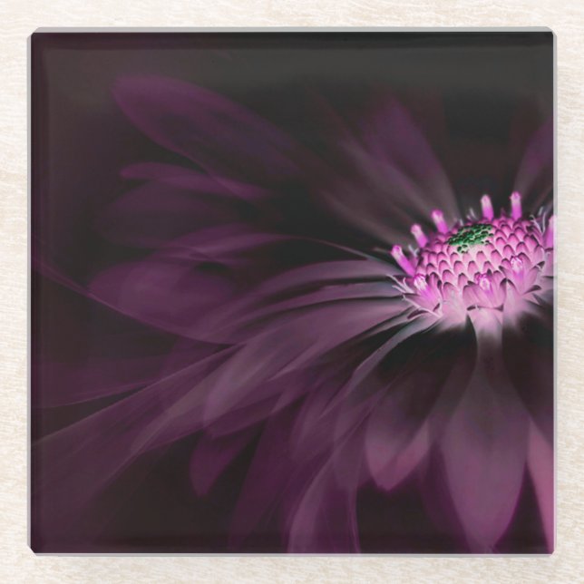 Flowers | Purple Daisy Glass Coaster (Front)