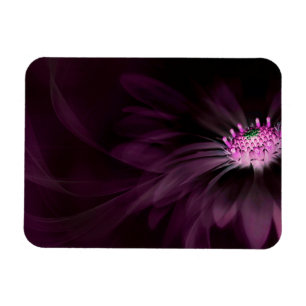 Flowers Purple Daisy Magnet