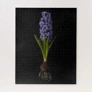 Flowers Purple Hyacinth Bulb Jigsaw Puzzle