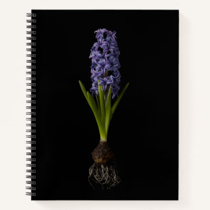 Flowers Purple Hyacinth Bulb Notebook