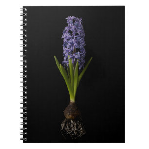 Flowers   Purple Hyacinth Bulb Notebook