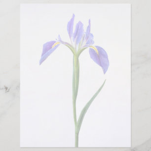 Flowers Purple Iris Flower