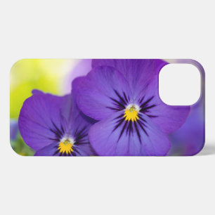 Flowers   Purple Pansies iPhone 13 Case