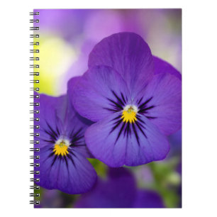 Flowers Purple Pansies Notebook