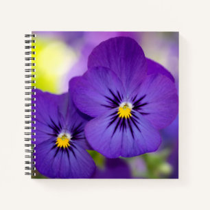Flowers Purple Pansies Notebook