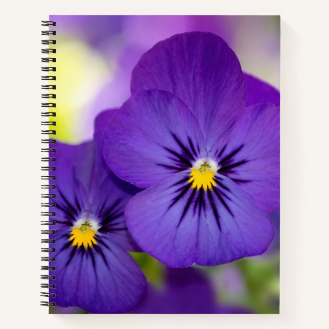 Flowers | Purple Pansies Notebook (Front)