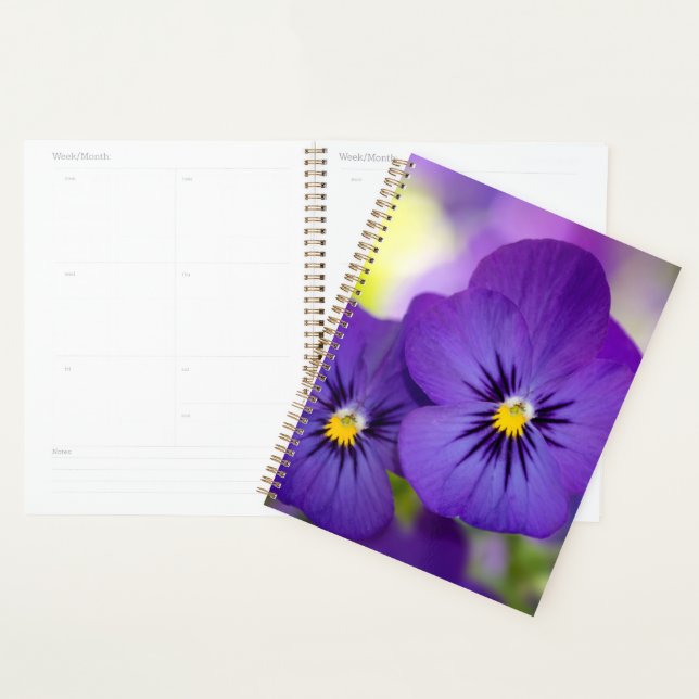 Flowers | Purple Pansies Planner (Display)