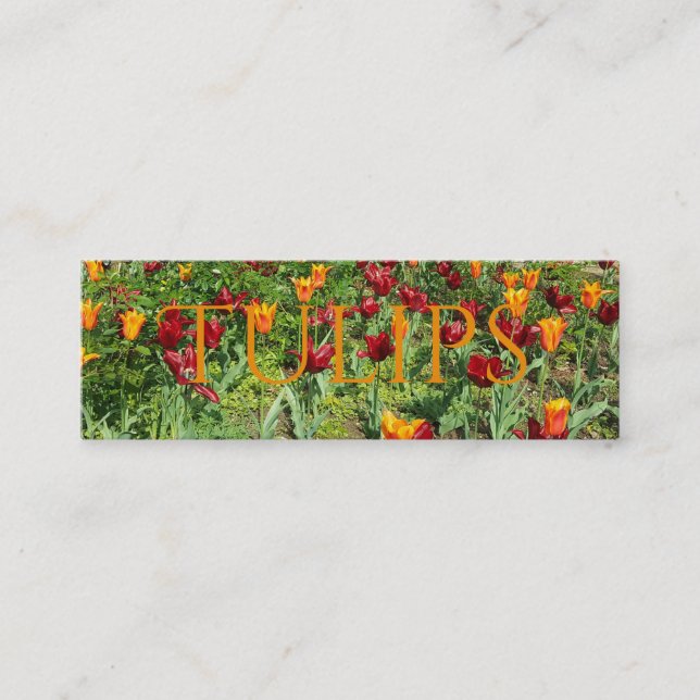 Flowers Red and Orange Tulips Floral Photography Mini Business Card (Front)
