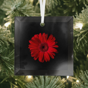 Flowers   Red Gerbera Daisy Glass Tree Decoration
