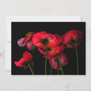 Flowers Red Poppies Thank You Card