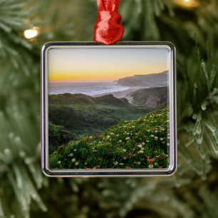 Flowers   Santa Cruz California Metal Tree Decoration