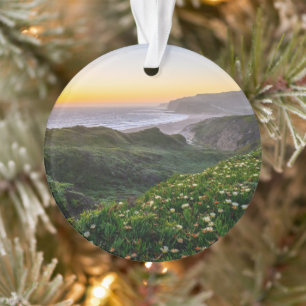 Flowers   Santa Cruz California Ornament
