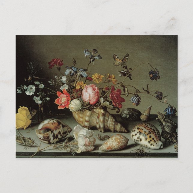 Flowers, Shells and Insects Balthasar van der Ast Postcard (Front)