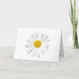 Flowers Single Daisy Card