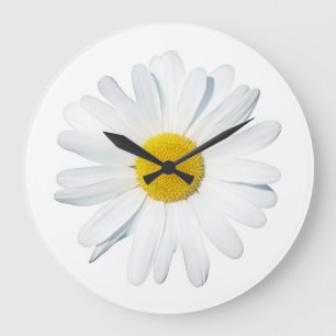 Flowers   Single Daisy Large Clock