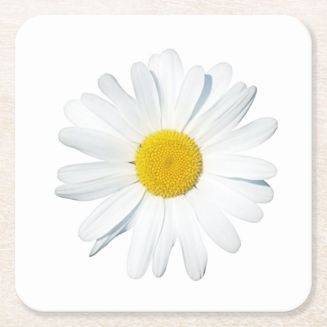 Flowers | Single Daisy Square Paper Coaster (Front)