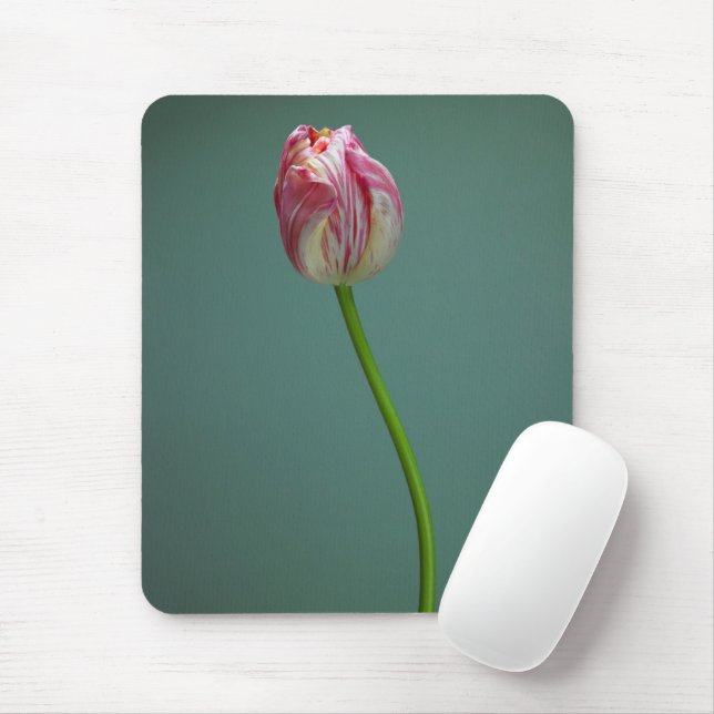 Flowers | Single Tulip Flower Mouse Pad (With Mouse)
