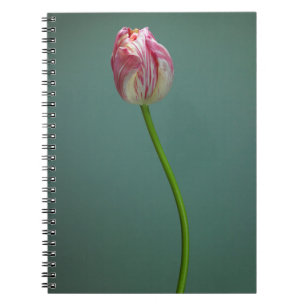 Flowers   Single Tulip Flower Notebook