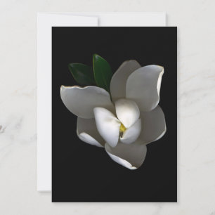 Flowers Single White Magnolia Blossom Thank You Card
