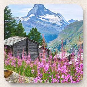 Flowers   Summer Matterhorn Switzerland Coaster