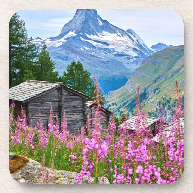Flowers | Summer Matterhorn Switzerland Coaster (Front)