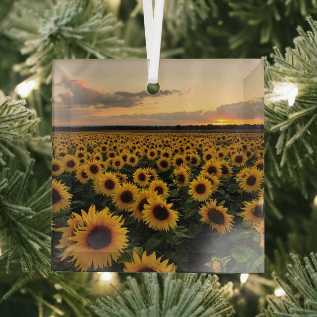 Flowers | Sunflower Field Glass Tree Decoration (Insitu)