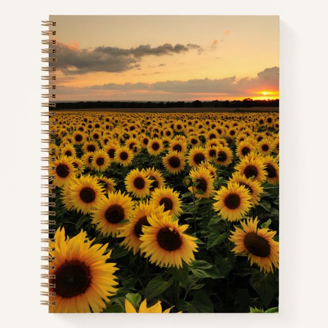 Flowers | Sunflower Field Notebook (Front)