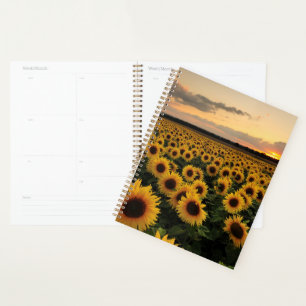 Flowers   Sunflower Field Planner