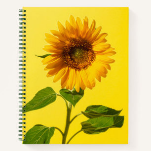 Flowers Sunflower on Yellow Notebook