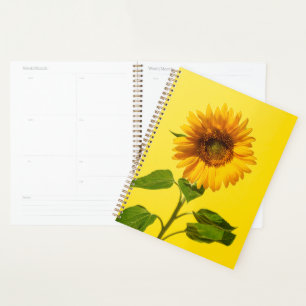 Flowers   Sunflower on Yellow Planner