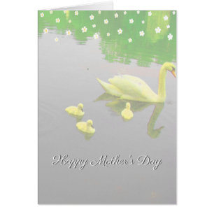 Flowers & Swan Lake Mother's Day