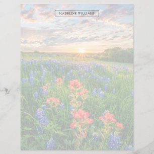 Flowers   Texas Bluebonnets & Indian Paintbrush
