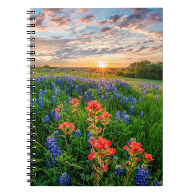 Flowers | Texas Bluebonnets & Indian Paintbrush Notebook (Front)