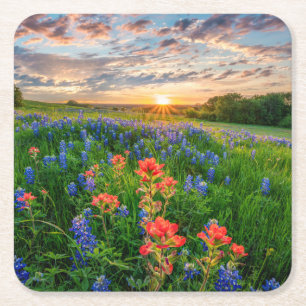 Flowers Texas Bluebonnets & Indian Paintbrush Square Paper Coaster