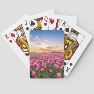 Flowers   Tulips South Holland, Netherlands Playing Cards