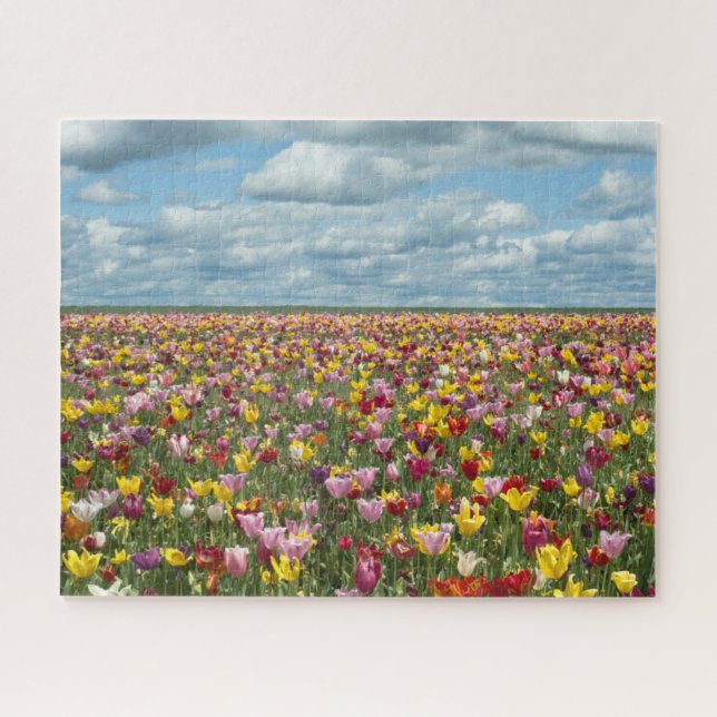 Flowers | Tulips Willamette Valley Oregon Jigsaw Puzzle (Horizontal)