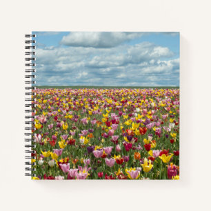 Flowers   Tulips Willamette Valley Oregon Notebook