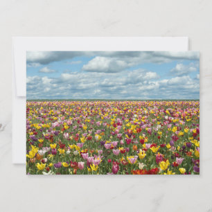 Flowers Tulips Willamette Valley Oregon Thank You Card