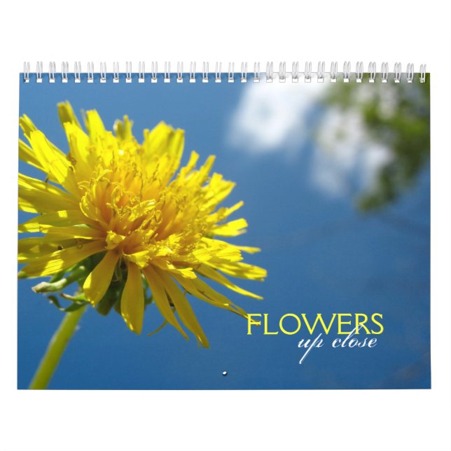 Flowers Up Close Calendar (Cover)