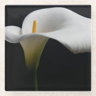 Flowers White Calla Lily Glass Coaster