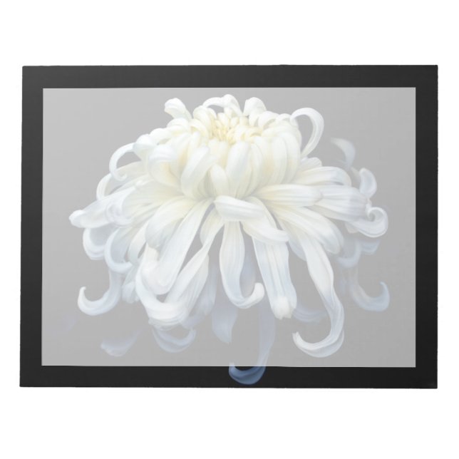 Flowers | White Chrysanthemum Notepad (Front)