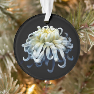 Flowers   White Chrysanthemum Ornament