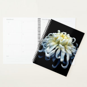 Flowers White Chrysanthemum Planner