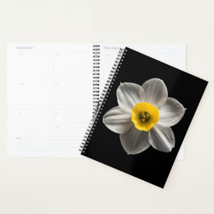 Flowers White Daffodil Flower Planner