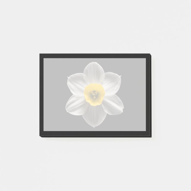 Flowers | White Daffodil Flower Post-it Notes (Front)