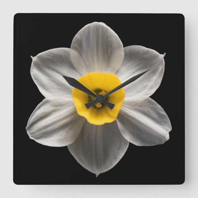 Flowers | White Daffodil Flower Square Wall Clock (Front)