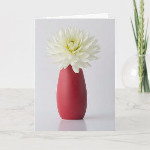 Flowers   White Dahlia in Red Vase Card