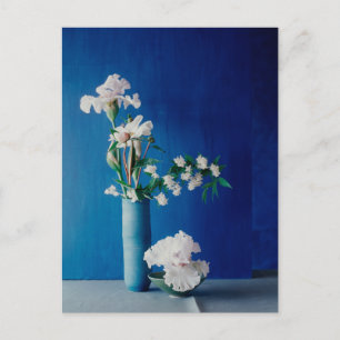 Flowers   White Iris in Vase Postcard