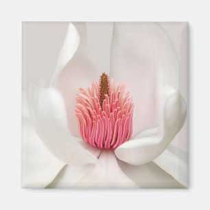Flowers White Magnolia Magnet