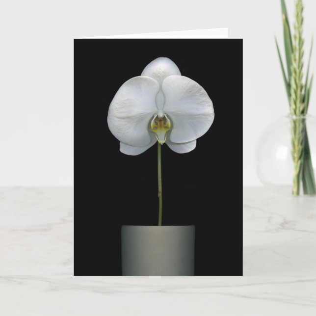 Flowers | White Orchid Flower Card (Front)